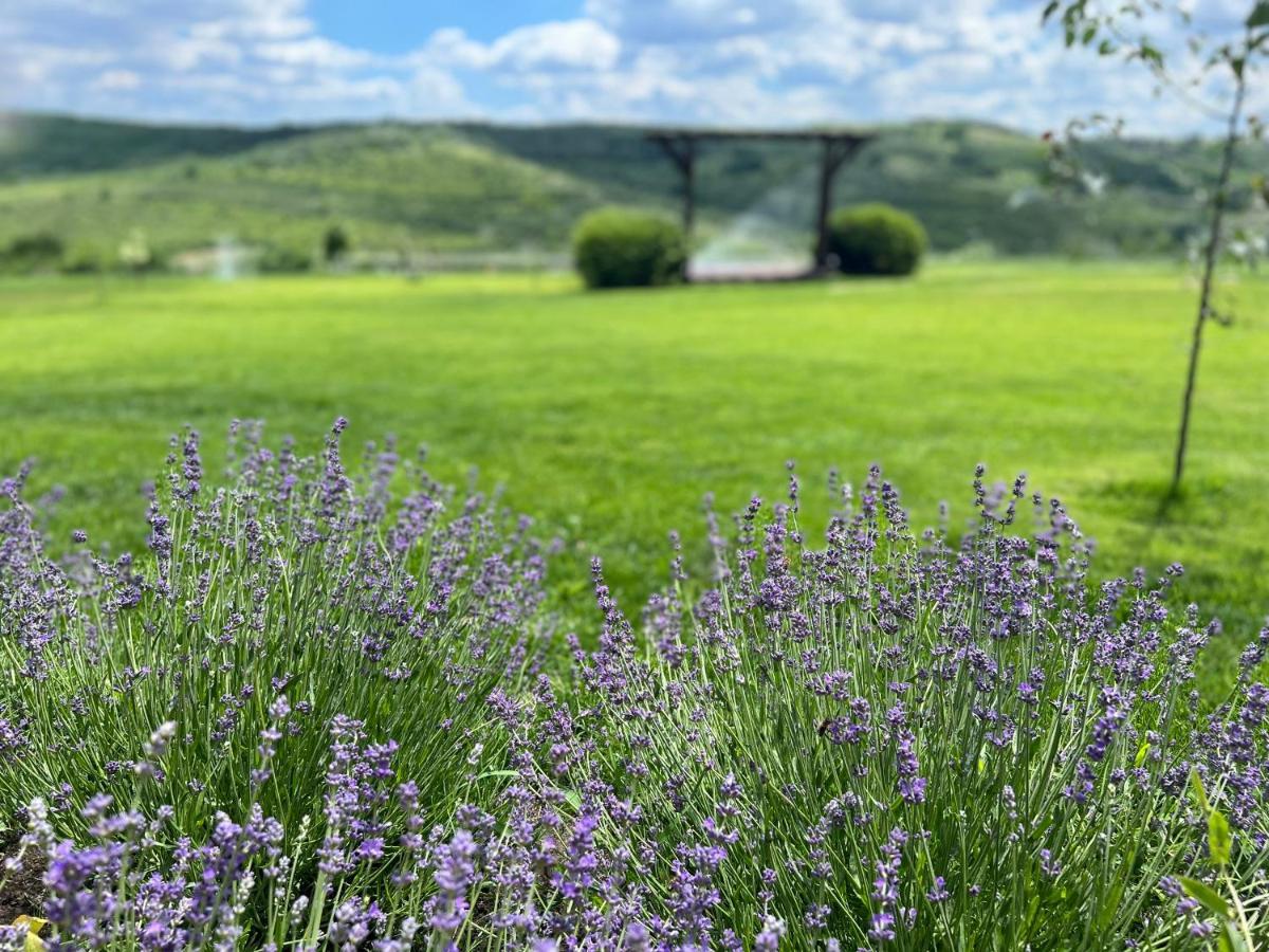 Colina Verde Resort Chişinău Extérieur photo